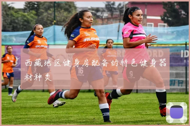 西藏地区健身房配备的特色健身器材种类