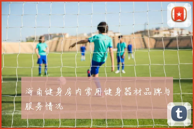 海南健身房内常用健身器材品牌与服务情况