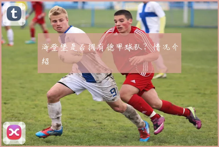 海登堡是否拥有德甲球队？情况介绍