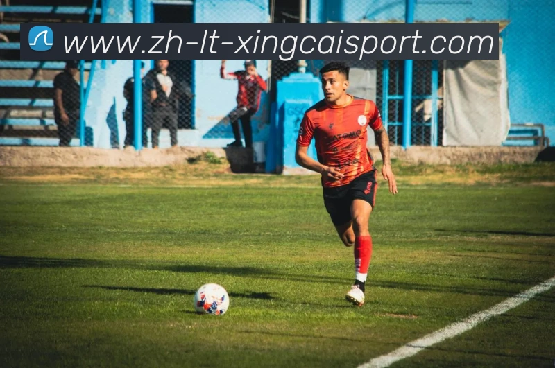 杏彩体育平台生态图