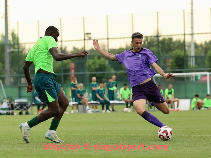 杏彩体育-世俱杯热门剪影图片精选及赛事回顾